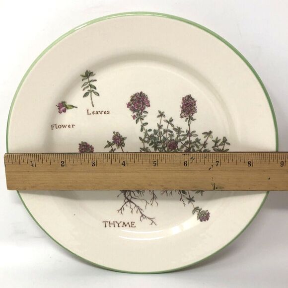 Williams Sonoma Culinary Herbs Luncheon Plates 8.75" Salad Portugal Set of 3 - Picture 9 of 12